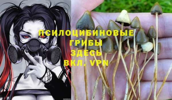 тгк Козловка