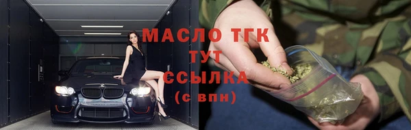 крисы Корсаков