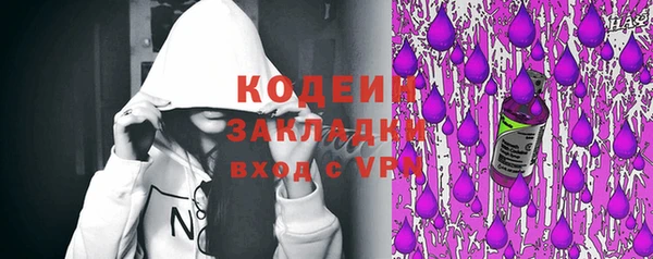 крисы Корсаков