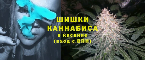 круглые Коряжма