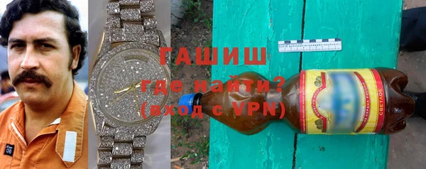 крисы Корсаков