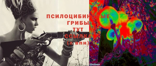 крисы Корсаков