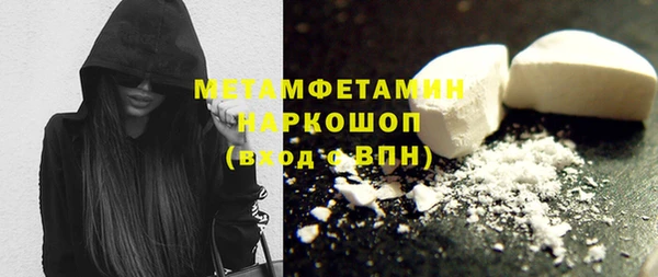 крисы Корсаков