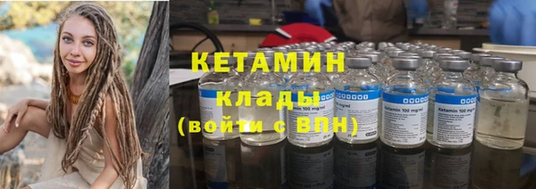 крисы Корсаков