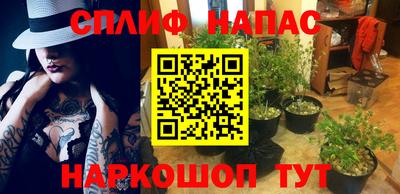 крисы Гусев