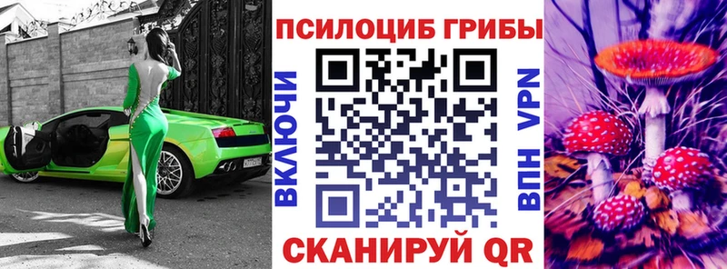 Галлюциногенные грибы Psilocybe  купить  цена  Майский 